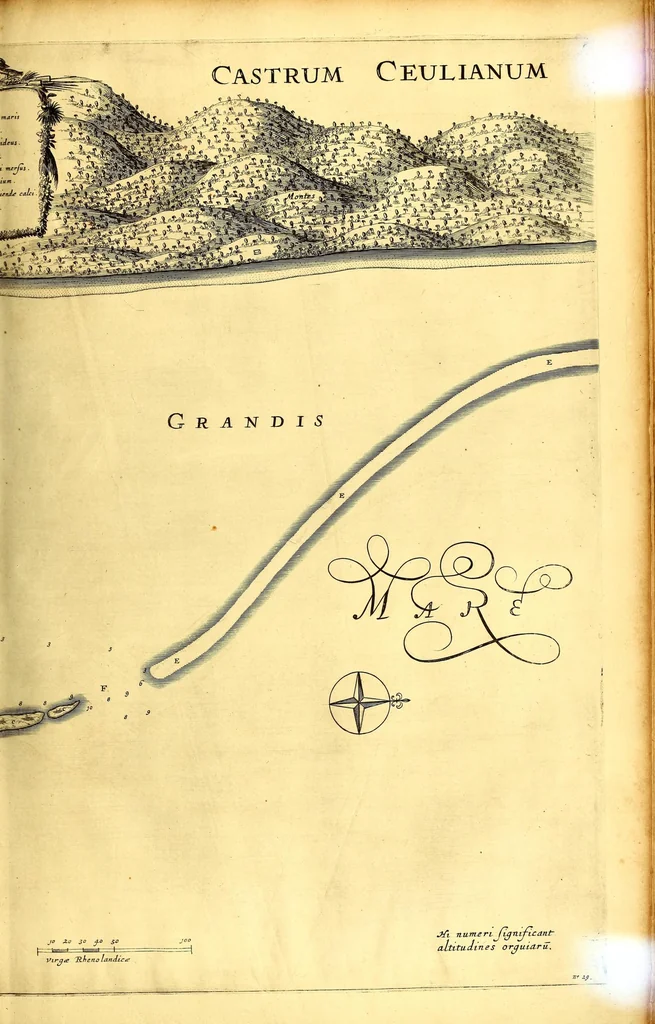 An illustration from Casparis Barlæi, rerum per octennium in Brasilia et alibi nuper gestarum, sub præfectura illustrissimi Comitis I. Mauritii, Nassoviæ, &c. comitis, nunc Vesaliæ gubernatoris & equitatus fderatorum Belgii ordd. sub Auriaco ductoris, historia, 1647, leaf 203