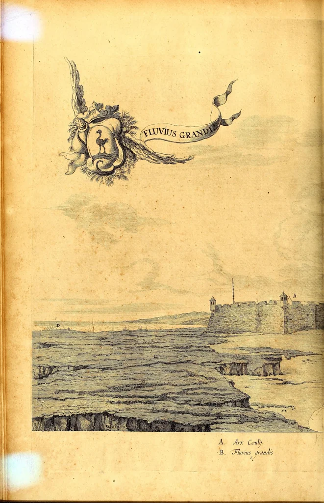 An illustration from Casparis Barlæi, rerum per octennium in Brasilia et alibi nuper gestarum, sub præfectura illustrissimi Comitis I. Mauritii, Nassoviæ, &c. comitis, nunc Vesaliæ gubernatoris & equitatus fderatorum Belgii ordd. sub Auriaco ductoris, historia, 1647, leaf 206