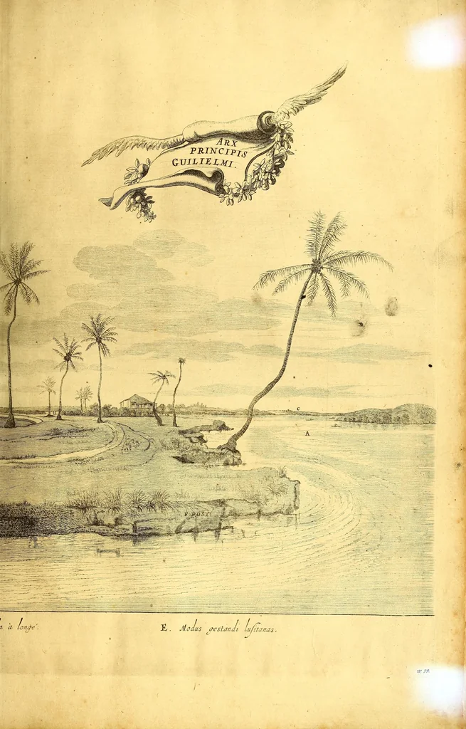 An illustration from Casparis Barlæi, rerum per octennium in Brasilia et alibi nuper gestarum, sub præfectura illustrissimi Comitis I. Mauritii, Nassoviæ, &c. comitis, nunc Vesaliæ gubernatoris & equitatus fderatorum Belgii ordd. sub Auriaco ductoris, historia, 1647, leaf 287