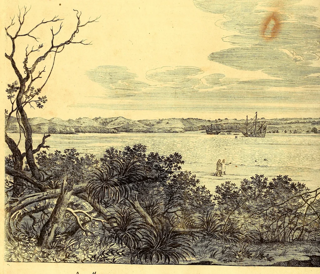 An illustration from Casparis Barlæi, rerum per octennium in Brasilia et alibi nuper gestarum, sub præfectura illustrissimi Comitis I. Mauritii, Nassoviæ, &c. comitis, nunc Vesaliæ gubernatoris & equitatus fderatorum Belgii ordd. sub Auriaco ductoris, historia, 1647, leaf 298