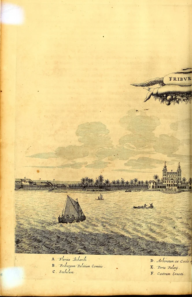 An illustration from Casparis Barlæi, rerum per octennium in Brasilia et alibi nuper gestarum, sub præfectura illustrissimi Comitis I. Mauritii, Nassoviæ, &c. comitis, nunc Vesaliæ gubernatoris & equitatus fderatorum Belgii ordd. sub Auriaco ductoris, historia, 1647, leaf 310