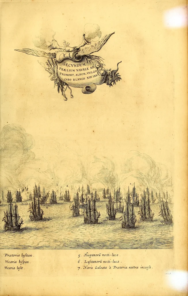 An illustration from Casparis Barlæi, rerum per octennium in Brasilia et alibi nuper gestarum, sub præfectura illustrissimi Comitis I. Mauritii, Nassoviæ, &c. comitis, nunc Vesaliæ gubernatoris & equitatus fderatorum Belgii ordd. sub Auriaco ductoris, historia, 1647, leaf 353