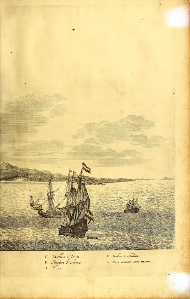 An illustration from Casparis Barlæi, rerum per octennium in Brasilia et alibi nuper gestarum, sub præfectura illustrissimi Comitis I. Mauritii, Nassoviæ, &c. comitis, nunc Vesaliæ gubernatoris & equitatus fderatorum Belgii ordd. sub Auriaco ductoris, historia, 1647, leaf 421