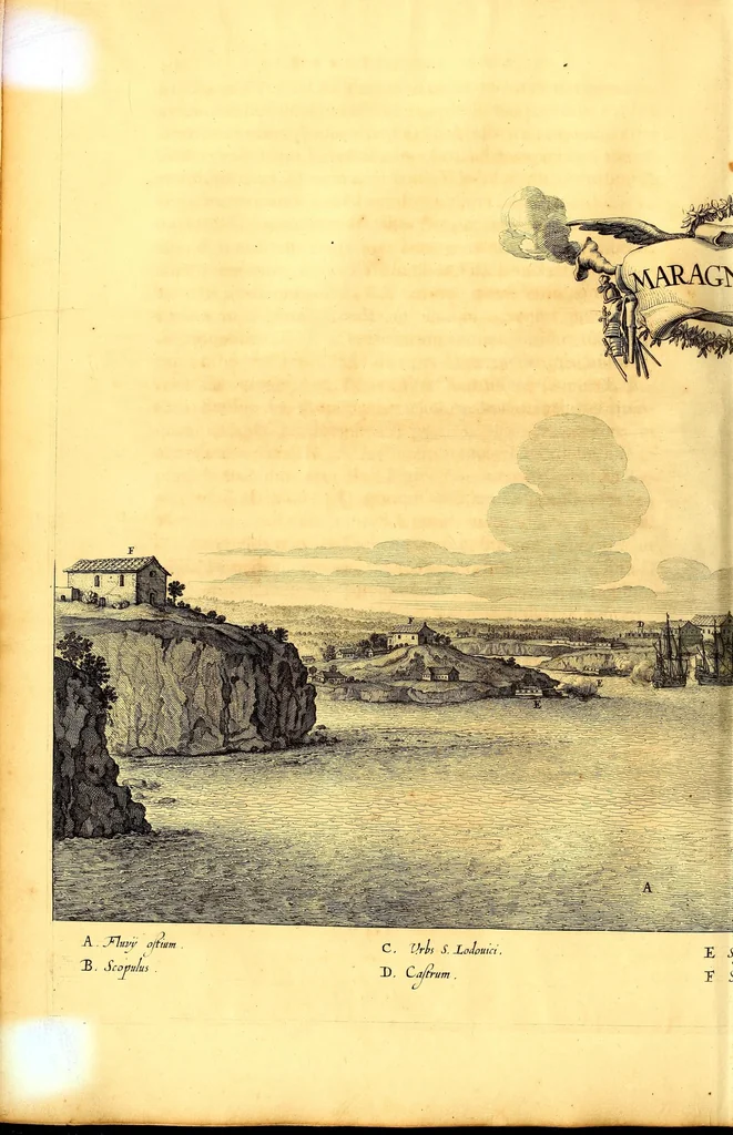 An illustration from Casparis Barlæi, rerum per octennium in Brasilia et alibi nuper gestarum, sub præfectura illustrissimi Comitis I. Mauritii, Nassoviæ, &c. comitis, nunc Vesaliæ gubernatoris & equitatus fderatorum Belgii ordd. sub Auriaco ductoris, historia, 1647, leaf 444