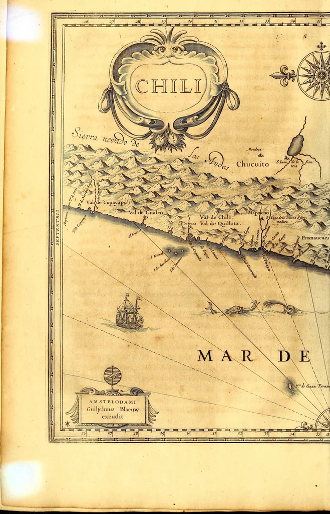 An illustration from Casparis Barlæi, rerum per octennium in Brasilia et alibi nuper gestarum, sub præfectura illustrissimi Comitis I. Mauritii, Nassoviæ, &c. comitis, nunc Vesaliæ gubernatoris & equitatus fderatorum Belgii ordd. sub Auriaco ductoris, historia, 1647, leaf 494