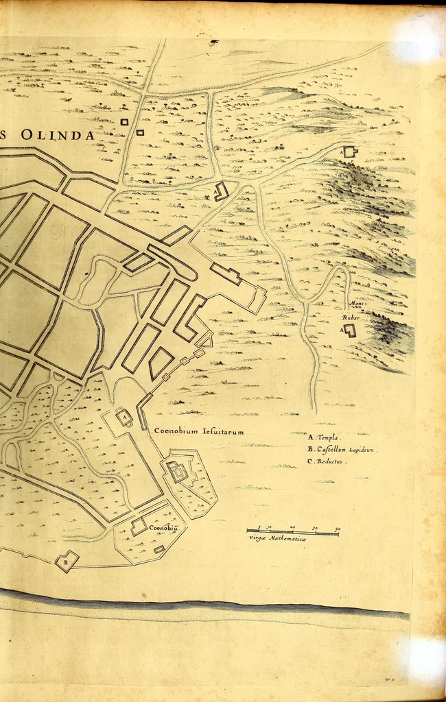 An illustration from Casparis Barlæi, rerum per octennium in Brasilia et alibi nuper gestarum, sub præfectura illustrissimi Comitis I. Mauritii, Nassoviæ, &c. comitis, nunc Vesaliæ gubernatoris & equitatus fderatorum Belgii ordd. sub Auriaco ductoris, historia, 1647, leaf 89