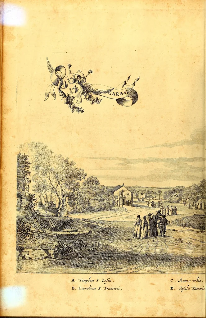 An illustration from Casparis Barlæi, rerum per octennium in Brasilia et alibi nuper gestarum, sub præfectura illustrissimi Comitis I. Mauritii, Nassoviæ, &c. comitis, nunc Vesaliæ gubernatoris & equitatus fderatorum Belgii ordd. sub Auriaco ductoris, historia, 1647, leaf 96