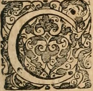 An illustration from Casparis Klockii ... Tractatus nomico-politicus de contributionibus in Romano-Germanico-Imperio et aliis regnis ut plurimum usitatis [electronic resource] : in quo imperatoris Rom. regum ... aliorumque statuum imperii ... jura inspersis multifariis theologico-juridico-historico-politicis discursibus ... & in singulari fasciculo digestis consultationibus sive responsis prudentum hactenus necdum divulgatis accuratè & nervosè enucleantur ., 1676, leaf 32