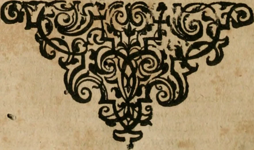 An illustration from Casparis Klockii ... Tractatus nomico-politicus de contributionibus in Romano-Germanico-Imperio et aliis regnis ut plurimum usitatis [electronic resource] : in quo imperatoris Rom. regum ... aliorumque statuum imperii ... jura inspersis multifariis theologico-juridico-historico-politicis discursibus ... & in singulari fasciculo digestis consultationibus sive responsis prudentum hactenus necdum divulgatis accuratè & nervosè enucleantur ., 1676, leaf 613