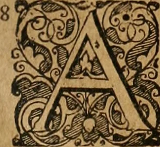 An illustration from Casparis Klockii ... Tractatus nomico-politicus de contributionibus in Romano-Germanico-Imperio et aliis regnis ut plurimum usitatis [electronic resource] : in quo imperatoris Rom. regum ... aliorumque statuum imperii ... jura inspersis multifariis theologico-juridico-historico-politicis discursibus ... & in singulari fasciculo digestis consultationibus sive responsis prudentum hactenus necdum divulgatis accuratè & nervosè enucleantur ., 1676, leaf 802