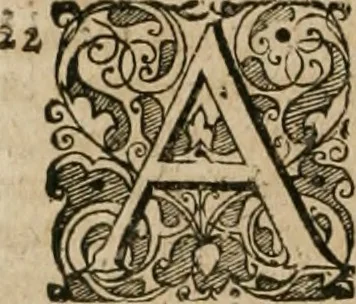 An illustration from Casparis Klockii ... Tractatus nomico-politicus de contributionibus in Romano-Germanico-Imperio et aliis regnis ut plurimum usitatis [electronic resource] : in quo imperatoris Rom. regum ... aliorumque statuum imperii ... jura inspersis multifariis theologico-juridico-historico-politicis discursibus ... & in singulari fasciculo digestis consultationibus sive responsis prudentum hactenus necdum divulgatis accuratè & nervosè enucleantur ., 1676, leaf 807