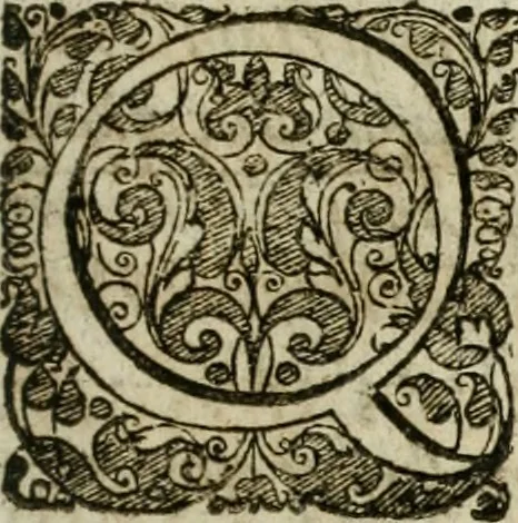 An illustration from Casparis Klockii ... Tractatus juridico-politico-polemico-historicus de ærario, sive censu, per honesta media, absque divexatione populi, licite conficiendo, libri duo: in quorum priori varia variarum gentium in Europa, Asia, Africa, & toto orbe illustrium, regum, principum, populorum ... æraria, census ... recensentur: in posteriori multifaria & propè innumera legitimæ colligendi pecuniæ medià ... proponuntur ... Nunc correctior undique & ex ipsis fontibus emendatior hac 2. editione redditus: nec non observationibus, additionibus, remissionibusqæ variis locupletatus operâ studioque Christophori Pelleri. Cum brevariariis capitum metricis, indicibusqæ rerum & verborum copiosissimis, 1671, leaf 14