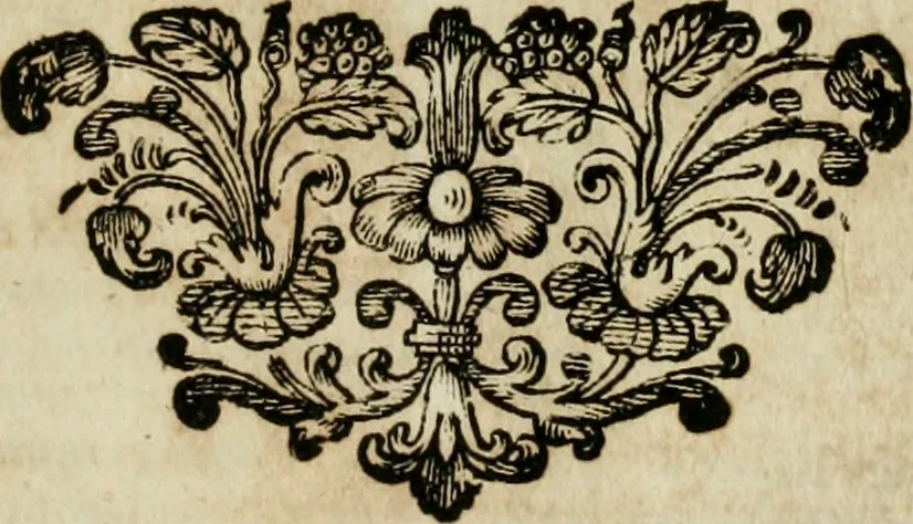 An illustration from Casparis Klockii ... Tractatus juridico-politico-polemico-historicus de ærario, sive censu, per honesta media, absque divexatione populi, licite conficiendo, libri duo: in quorum priori varia variarum gentium in Europa, Asia, Africa, & toto orbe illustrium, regum, principum, populorum ... æraria, census ... recensentur: in posteriori multifaria & propè innumera legitimæ colligendi pecuniæ medià ... proponuntur ... Nunc correctior undique & ex ipsis fontibus emendatior hac 2. editione redditus: nec non observationibus, additionibus, remissionibusqæ variis locupletatus operâ studioque Christophori Pelleri. Cum brevariariis capitum metricis, indicibusqæ rerum & verborum copiosissimis, 1671, leaf 408