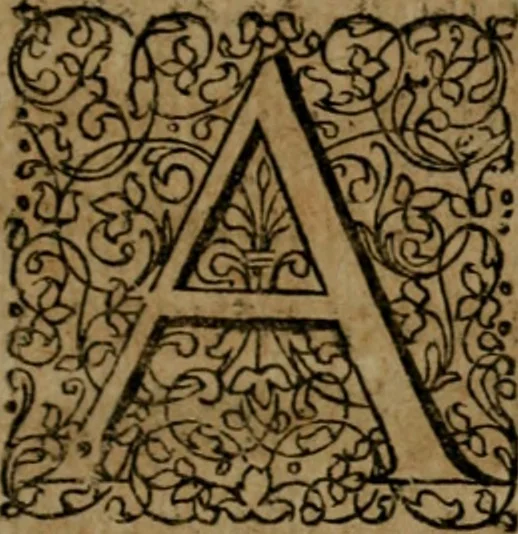 An illustration from Casparis Ziegleri De dote ecclesiae, ejusque juribus & privilegiis : diatribe canonica, 1676, leaf 8