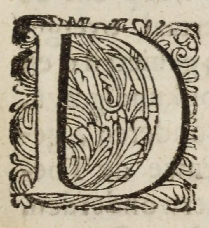 An illustration from Casper van Baarles Oratien en Blijde inkomst van Maria de Medicis : nieuwelijks met zijn gedichten verrijkt, 1689, leaf 11