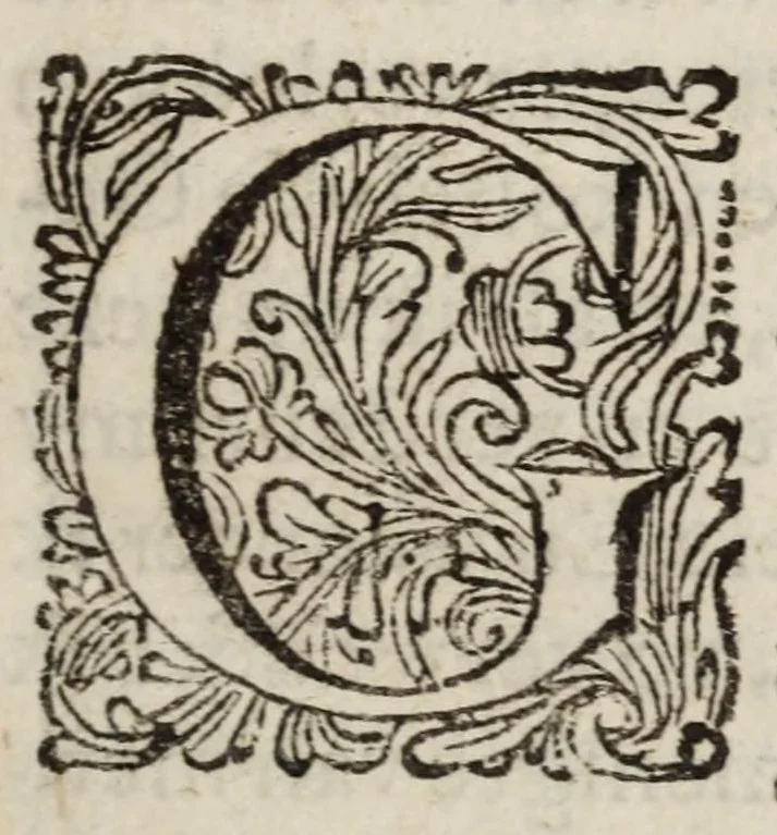An illustration from Casper van Baarles Oratien en Blijde inkomst van Maria de Medicis : nieuwelijks met zijn gedichten verrijkt, 1689, leaf 15
