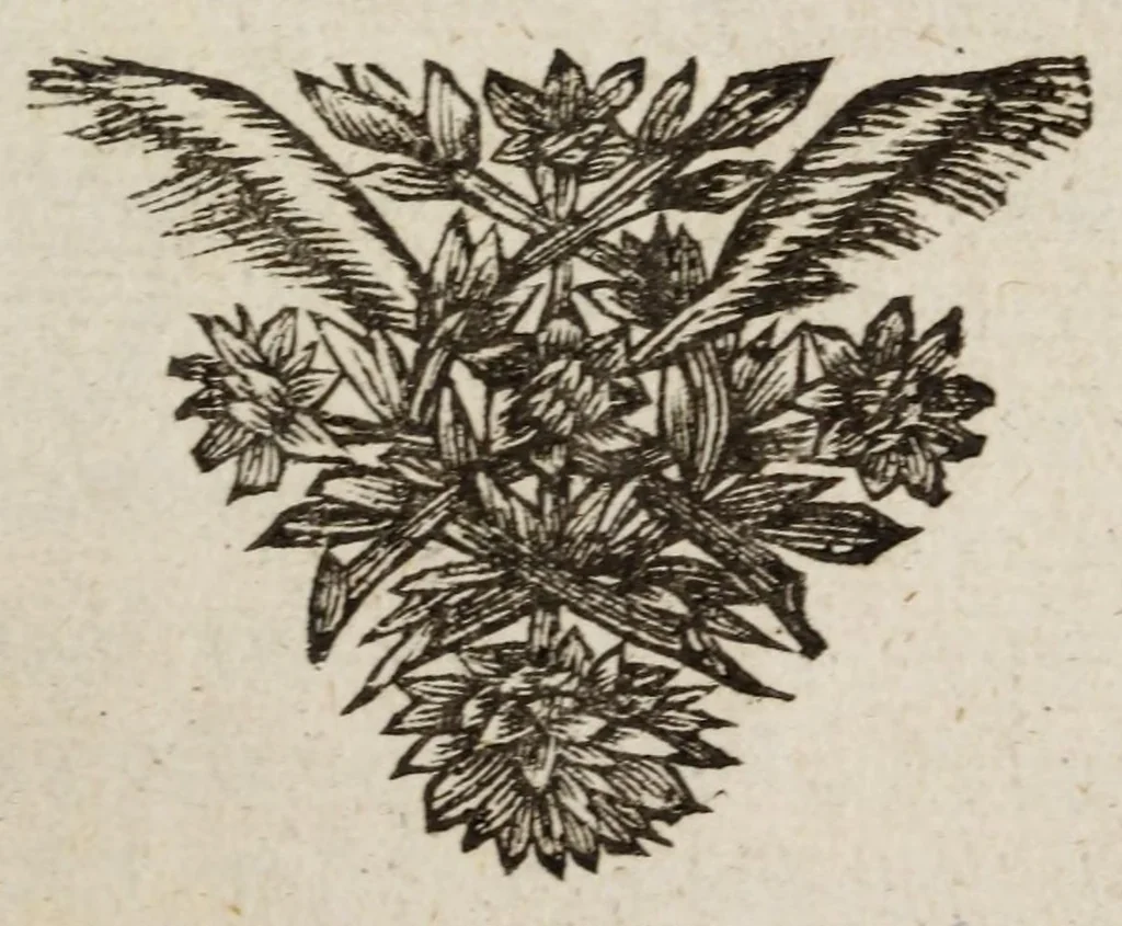 An illustration from Casper van Baarles Oratien en Blijde inkomst van Maria de Medicis : nieuwelijks met zijn gedichten verrijkt, 1689, leaf 9