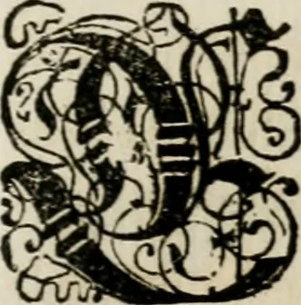 An illustration from Cassander evangelicus, sive, In plaeisq[ue] assertor Aug. confessionis graviss, das ist, Die jenige Puncten : worinn der Fürnehme hochgelehrte vnd in der römisch-catholischen Kirchen weitgerühmte Mann, Georgius Cassander, die Augsburg confession mit gutem Grund gebillichet : aus dem Bedencken, so auff Keysers Ferdinandi I. vnd Keys. Maximiliani II. hochlöblichster Ged. allergnädigsten Befehl vnd Beförderung aller dreyen geistlichen Ehurfürsten Maintz, Cöln vnd Frier gefertiget, 1631, leaf 48
