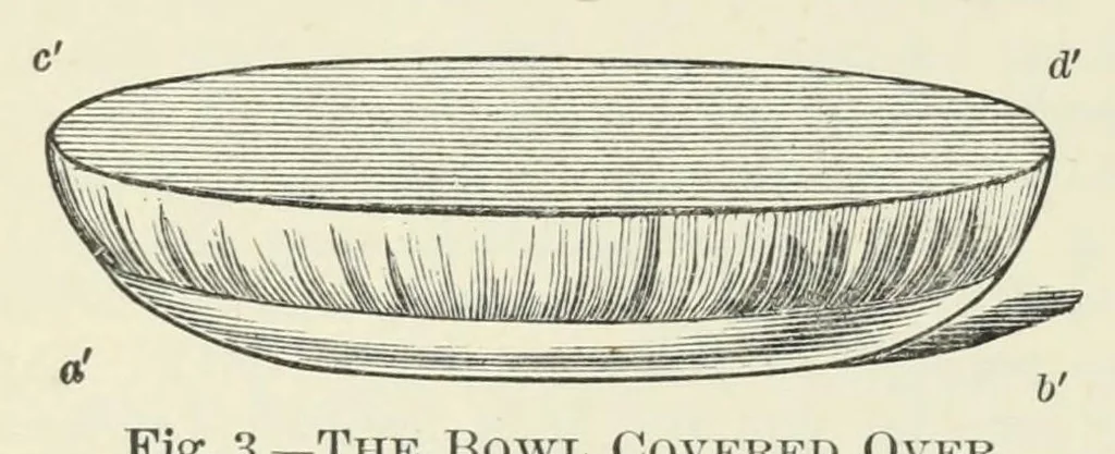 An illustration from Cassell's book of in-door amusements, card games, and fireside fun ; with numerous illustrations, 1886, leaf 184