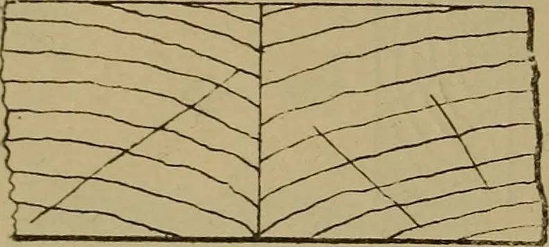 An illustration from Cassells' carpentry and joinery, 1907, leaf 107