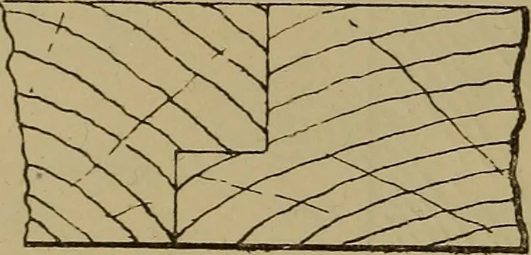 An illustration from Cassells' carpentry and joinery, 1907, leaf 107