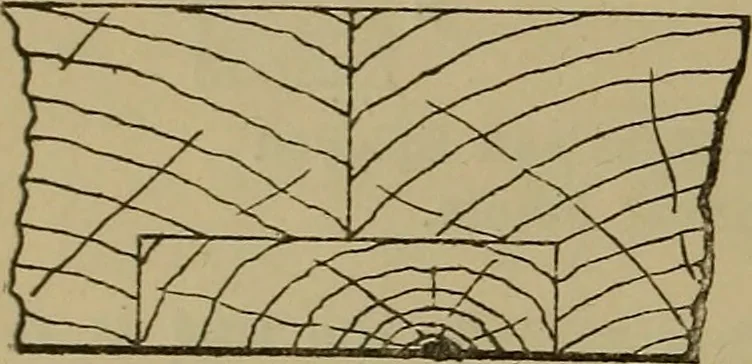 An illustration from Cassells' carpentry and joinery, 1907, leaf 107