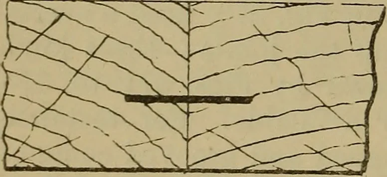 An illustration from Cassells' carpentry and joinery, 1907, leaf 107