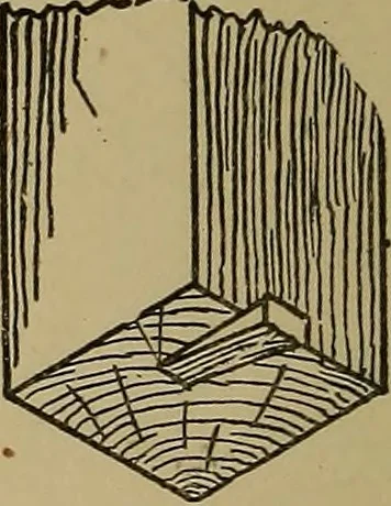 An illustration from Cassells' carpentry and joinery, 1907, leaf 255