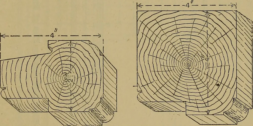 An illustration from Cassells' carpentry and joinery, 1907, leaf 324