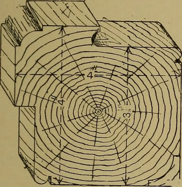 An illustration from Cassells' carpentry and joinery, 1907, leaf 326
