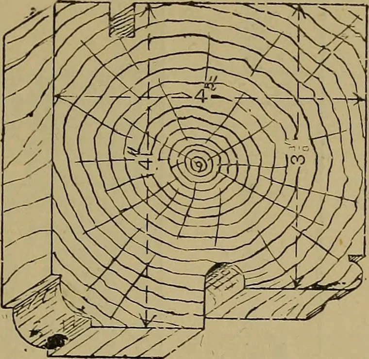 An illustration from Cassells' carpentry and joinery, 1907, leaf 326