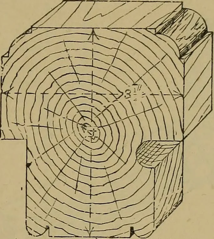 An illustration from Cassells' carpentry and joinery, 1907, leaf 326