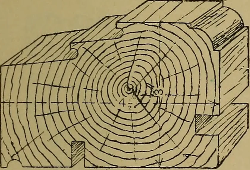 An illustration from Cassells' carpentry and joinery, 1907, leaf 326