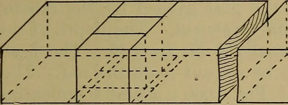 An illustration from Cassells' carpentry and joinery, 1907, leaf 344