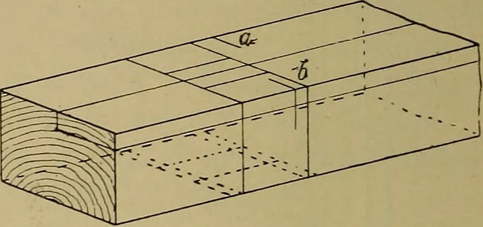 An illustration from Cassells' carpentry and joinery, 1907, leaf 347