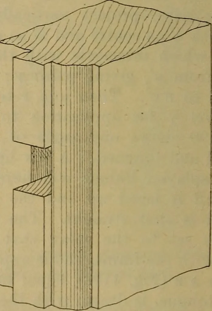 An illustration from Cassells' carpentry and joinery, 1907, leaf 391