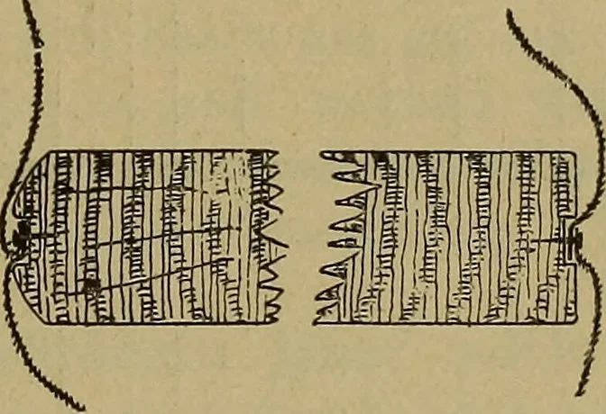 An illustration from Cassells' carpentry and joinery, 1907, leaf 408