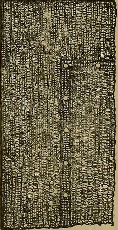 An illustration from Cassells' carpentry and joinery, 1907, leaf 408