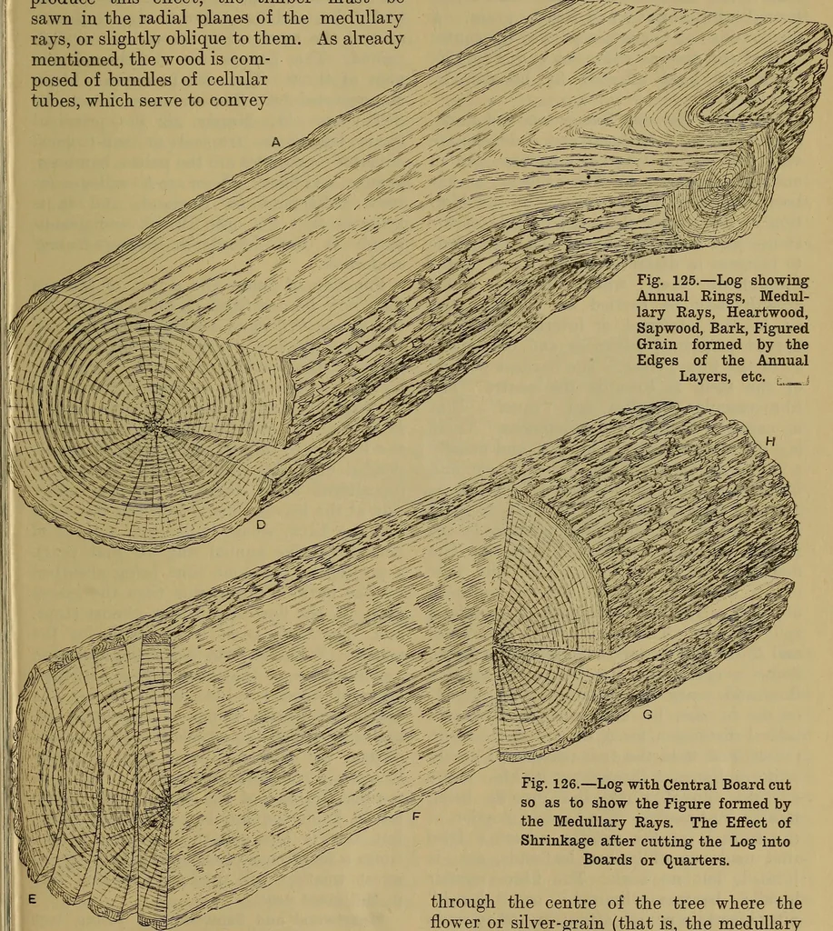 An illustration from Cassells' carpentry and joinery, 1907, leaf 42