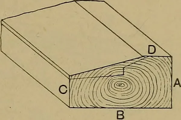 An illustration from Cassells' carpentry and joinery, 1907, leaf 438
