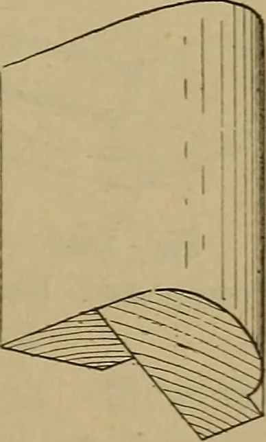 An illustration from Cassells' carpentry and joinery, 1907, leaf 442