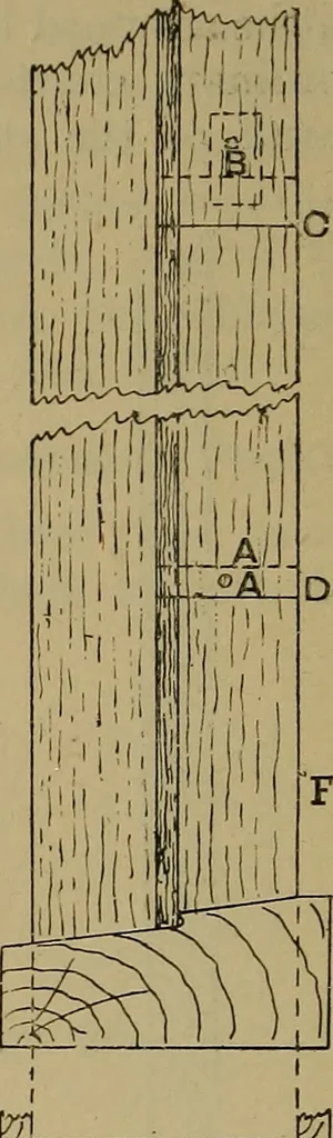 An illustration from Cassells' carpentry and joinery, 1907, leaf 451