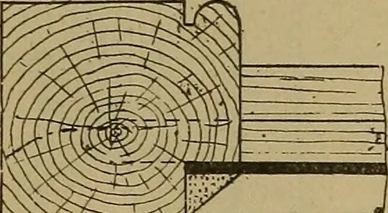 An illustration from Cassells' carpentry and joinery, 1907, leaf 458