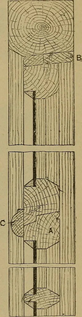 An illustration from Cassells' carpentry and joinery, 1907, leaf 458