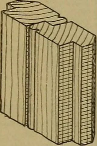 An illustration from Cassells' carpentry and joinery, 1907, leaf 462