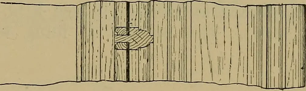 An illustration from Cassells' carpentry and joinery, 1907, leaf 478