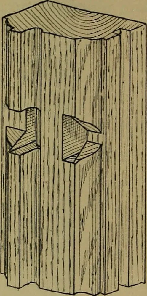 An illustration from Cassells' carpentry and joinery, 1907, leaf 479