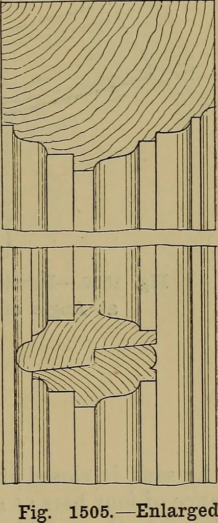 An illustration from Cassells' carpentry and joinery, 1907, leaf 494