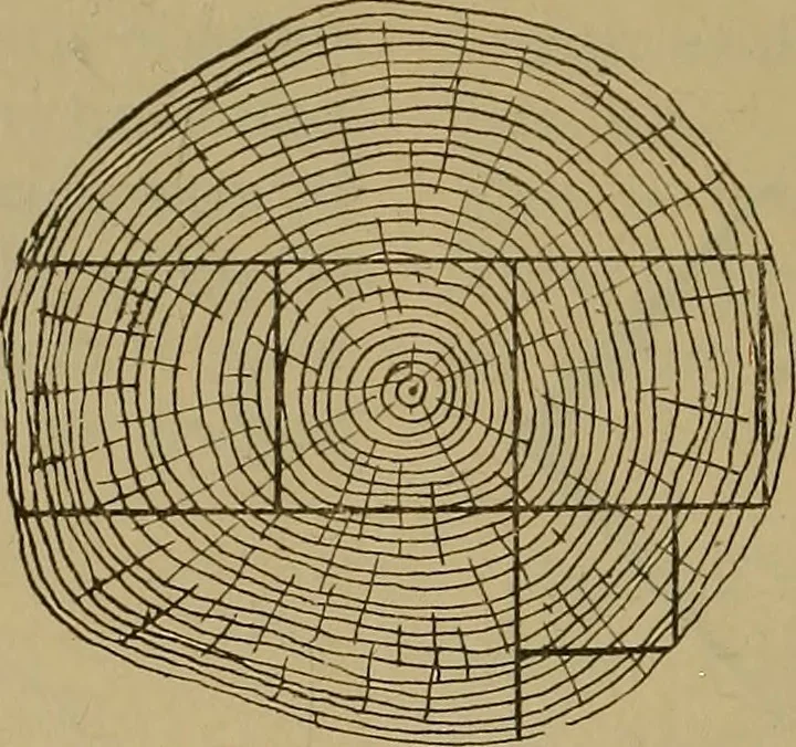 An illustration from Cassells' carpentry and joinery, 1907, leaf 51