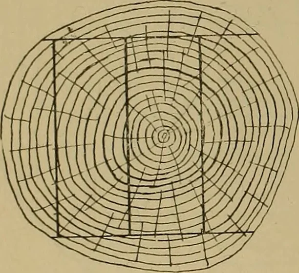 An illustration from Cassells' carpentry and joinery, 1907, leaf 51